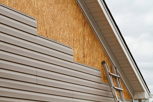 Professional Siding Repair technician working in Gainesville, FL